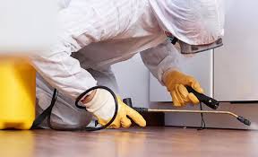 Best Pest Control for Multi-Family Homes  in Louise, TX